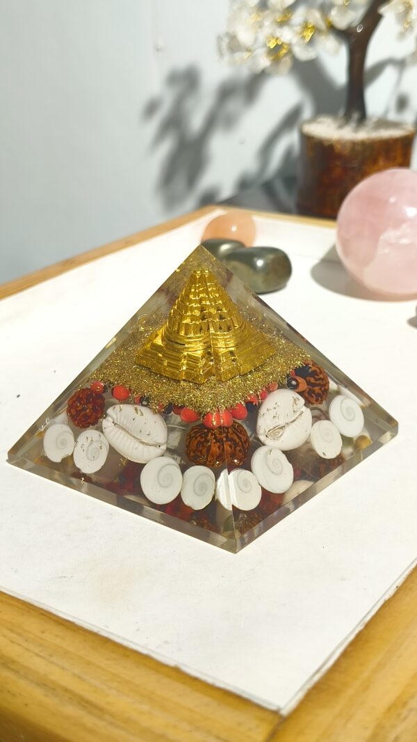 Sacred Wealth Gomti Chakra Yantra